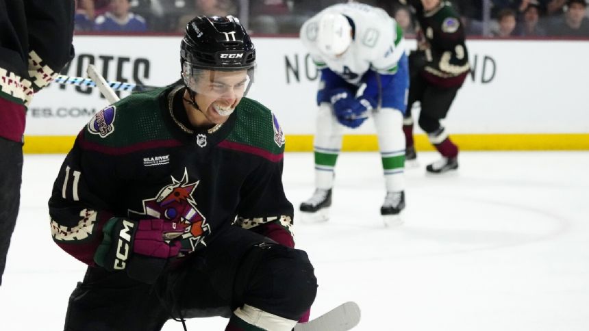 Coyotes say they're committing to winning a land auction to build an arena in Phoenix