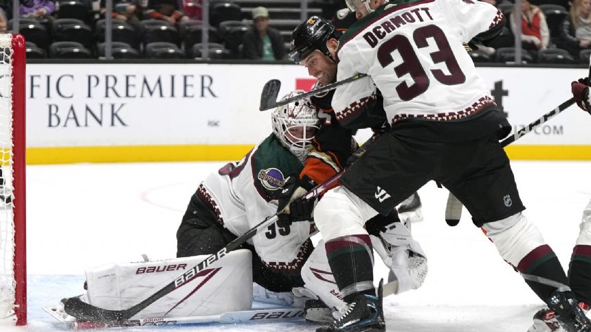 Coyotes' Travis Dermott on using Pride tape, forcing NHL's hand: 'Had to be done'