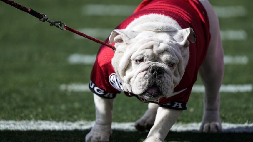 Former Georgia bulldog mascot Uga X dies with 2 national championships during his term