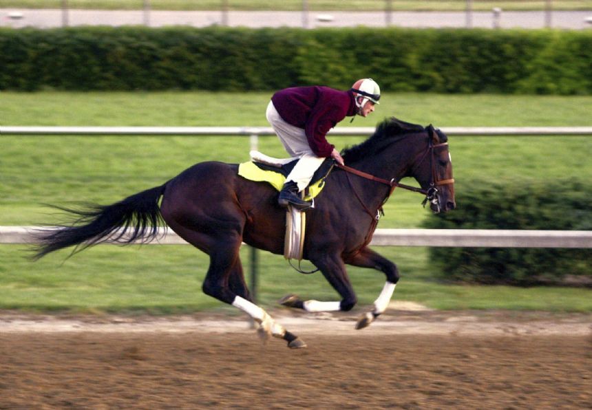 Fusaichi Pegasus, 2000 Kentucky Derby winner, dies at 26