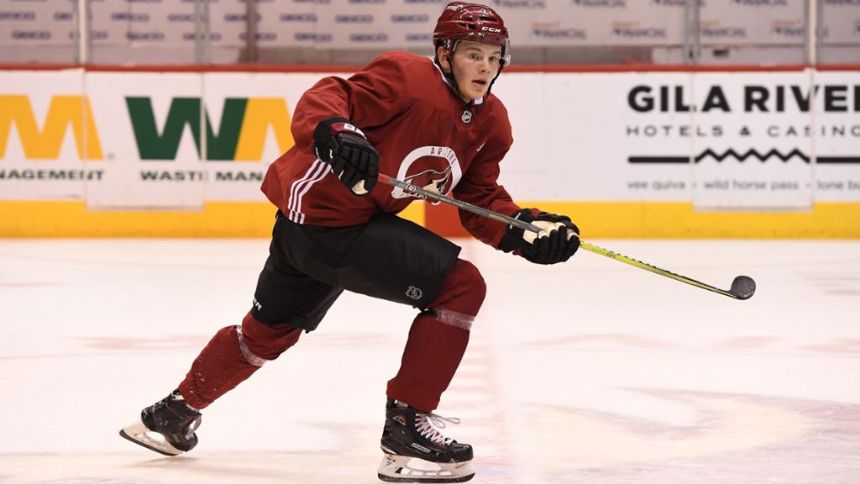 Hayton's two goals help Coyotes to a rare road win