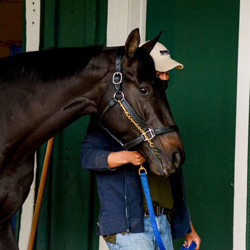 Ointment led to Medina Spirit's failed test after Ky Derby