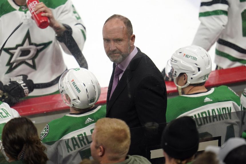 Sunny NHL playoffs Every Stanley Cup semifinalist team is from the Sun