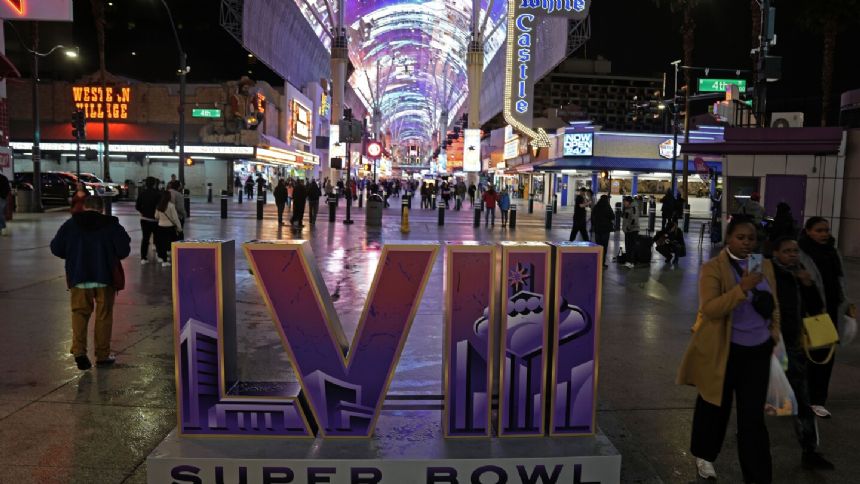 The game. The ads. The music. The puppies. Here's why millions are excited for Super Bowl Sunday