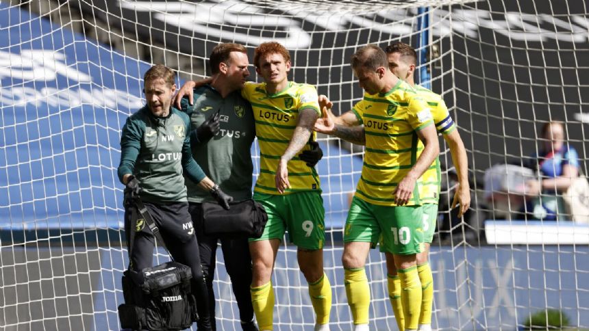 US forward Josh Sargent injures ankle while scoring for Norwich in win