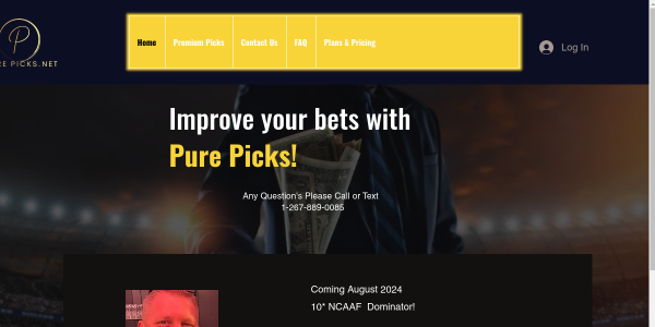 PurePicks.net Reviews