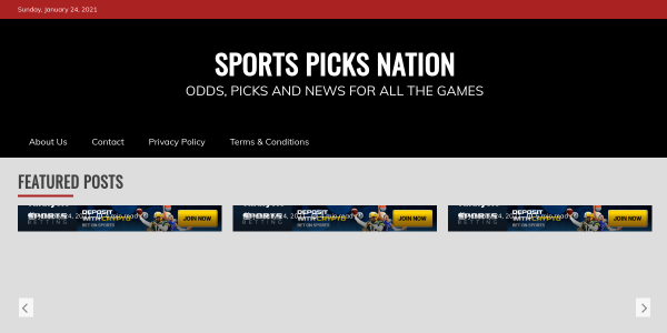 SportsPicksNation.com Reviews