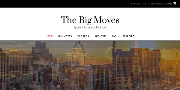 TheBigMoves.com Reviews