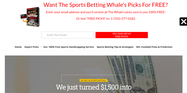 TheWhalePicks.com Review
