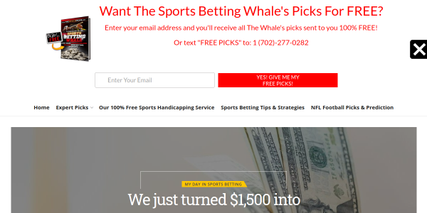 TheWhalePicks.com Reviews