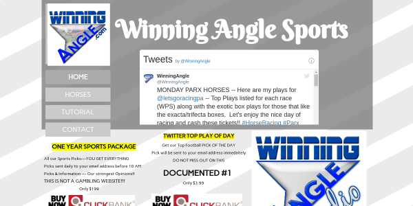 WinningAngle.com Reviews