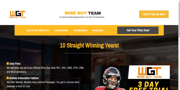 WiseGuyTeam.com Review