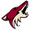 Arizona Coyotes