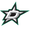 Dallas Stars